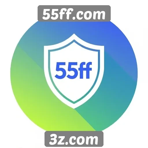 Avaliação da segurança e privacidade no 55ff.com